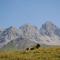 L’Oretta Moena Fata delle Dolomiti