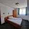 Hotel Pescarus Port Bicaz - 比卡兹