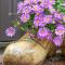 B&B Hulleste - Westerland