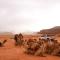 Shaheen Camp Wadi rum
