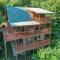 See Forever - Gatlinburg