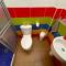 Hostal Tralala Salento