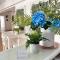 Pasithea Holiday Apartments