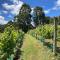 Maymorn Orchard Suites Maymorn Orchard Suites