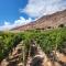Cabañas Bodega Kindgard