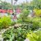 CS GARDEN RESORT