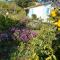 Maison 4 face a la mer grand Jardin Ideal Famille avec pluri Animaux Saint Clair Le Lavandou
