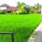 Keladi House Ubud - 乌布