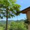 Bungalows Ayampe