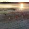 Nature Trails and Lake Views Studio Style Rooms - Clitherall