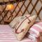 The Grove Glamping - Cromer