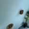 Casa CalPi: A Tropical Oasis!