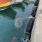 Group Sea Bed and Breakfast