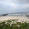 Group Sea Bed and Breakfast