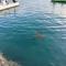 Group Sea Bed and Breakfast
