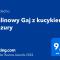 Malinowy Gaj - Agroturystyka z alpakami i innymi zwierzętami