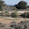 Zandfontein Bush Camp and Game Farm - Platdrift