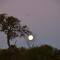 Zandfontein Bush Camp and Game Farm - Platdrift