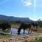 Zandfontein Bush Camp and Game Farm - Platdrift