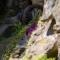 JS Feriendomizile: FeWo Nest