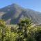 Elqui Valley Avocado Farm