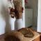 B&B Karin - Rooms & Breakfast