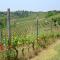 Cascina Rollone
