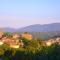 Holiday Cottage in Provence - Montauroux