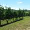 Cascina Rollone