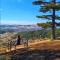SkyLine Lux 2 Apartman Zlatibor - Zlatibor