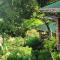 Castara Retreats
