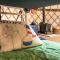 The Grove Glamping - Cromer