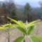 Reys Cafe and Boutique Cottage - A Jungle Stay
