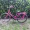 Charmante woning op rustig park met fietsen