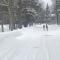 Pocono retreat- Lake, Firepit, BBQ, Gameroom, Ski home