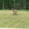 Pocono retreat- Lake, Firepit, BBQ, Gameroom, Ski home