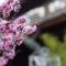 Tuo Tuo Guest House