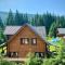 Cottage PolyaNitsa окремий котедж з каміном - Bukovel