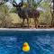 Bushbuck Rest - Marloth Park