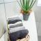 The Fuchsia Collection - Somerset West