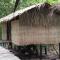 婆罗洲天然苏克毕丽特山林小屋 - 比利特