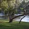 Bushy Lake Chalets