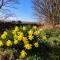 Daffodil Cottage, Whitby - Danby