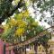 Souparnika Homestay