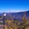 The White mountaina