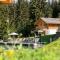 Lerchpeuntgut Alpenfreud Apartments