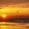 Palm Beach Club 3-235 - Pensacola Beach