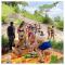 wild park safari home stay
