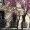 Les Santolines photo 14