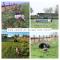 Thrillseeker - Chalet style caravan next to Fantasy Island, Ingoldmells, 2 dogs max - East Coast Holidays